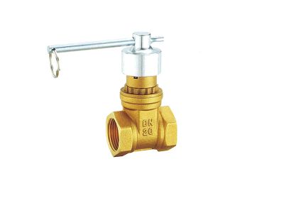 絲口磁性鎖閉閘閥